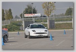 stfr3847.jpg